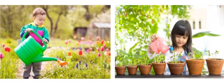 Watering Plants